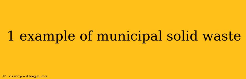 1 example of municipal solid waste