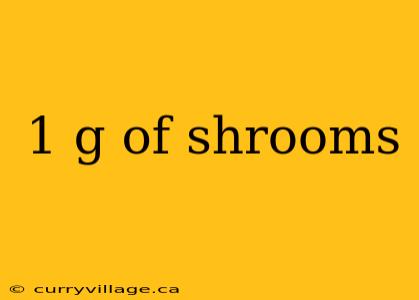1 g of shrooms