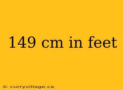 149 cm in feet
