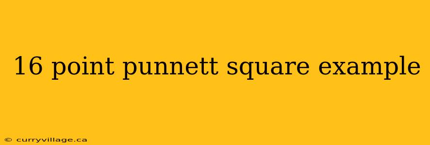 16 point punnett square example