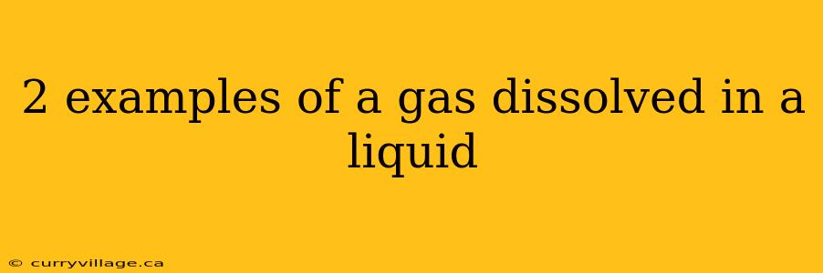 2 examples of a gas dissolved in a liquid