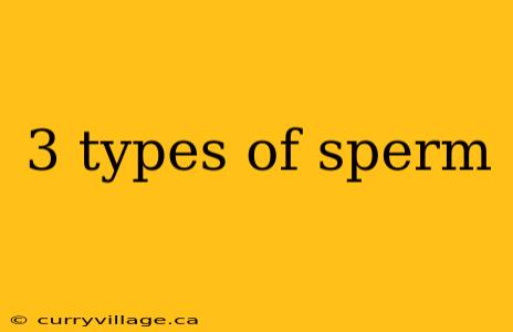 3 types of sperm