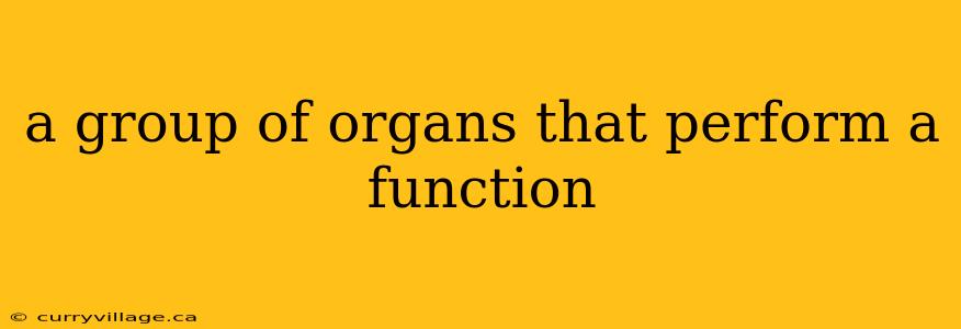 a group of organs that perform a function