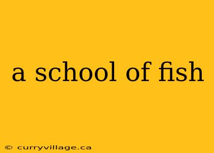 a school of fish