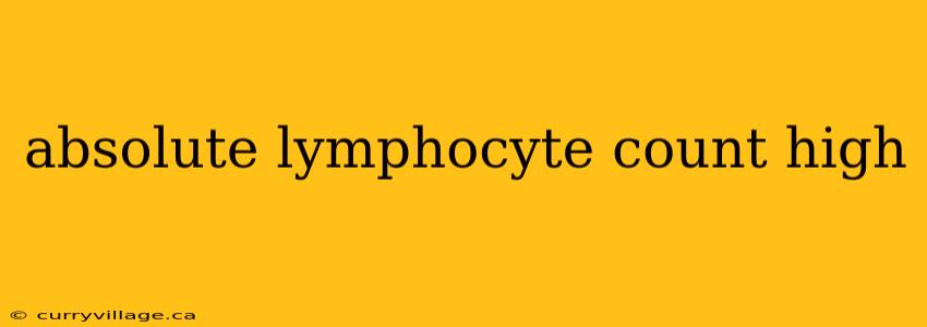 absolute lymphocyte count high