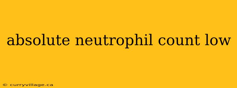 absolute neutrophil count low