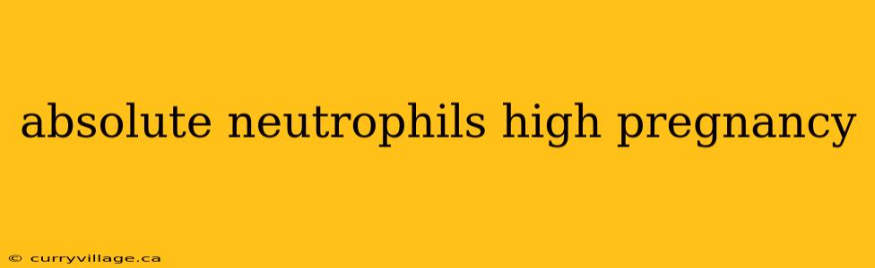 absolute neutrophils high pregnancy