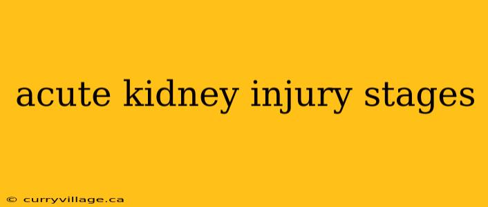 acute kidney injury stages