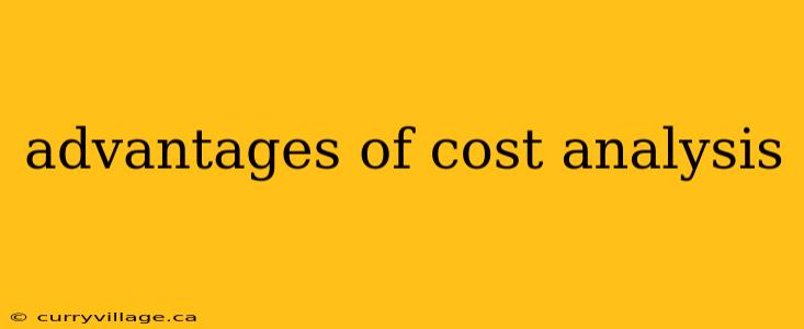 advantages of cost analysis