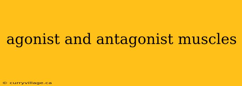 agonist and antagonist muscles