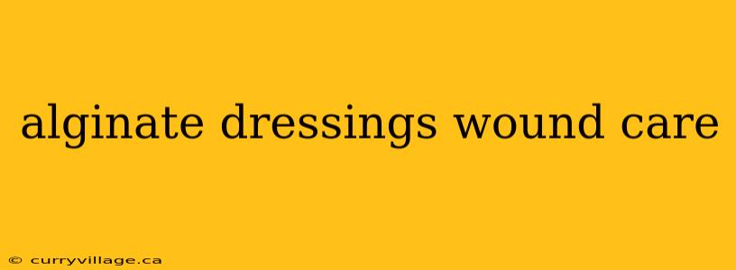 alginate dressings wound care
