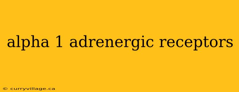 alpha 1 adrenergic receptors