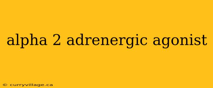 alpha 2 adrenergic agonist