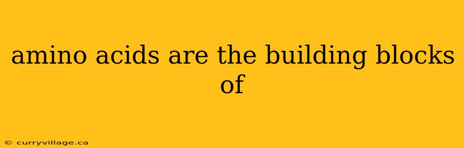 amino acids are the building blocks of