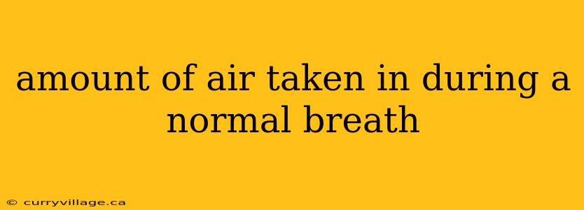amount of air taken in during a normal breath