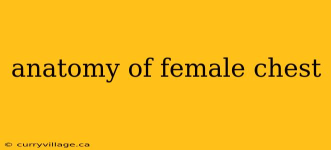 anatomy of female chest