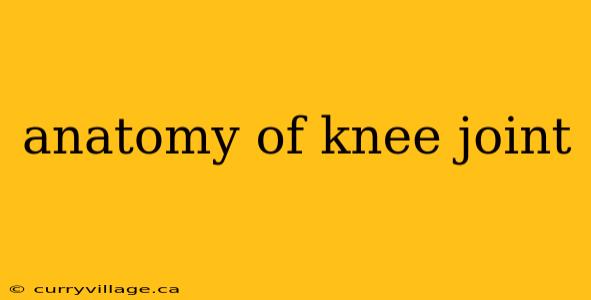 anatomy of knee joint