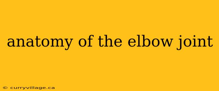 anatomy of the elbow joint