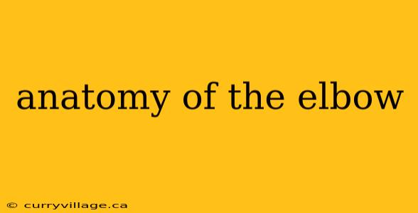 anatomy of the elbow