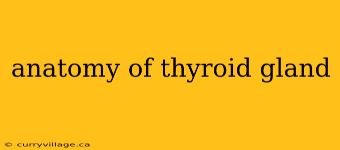 anatomy of thyroid gland