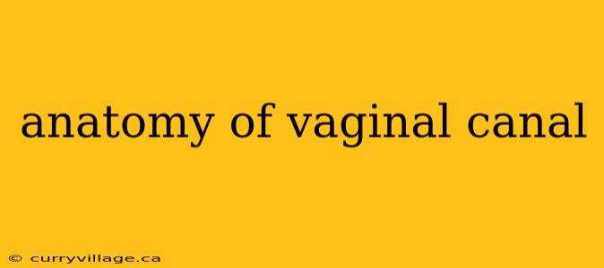 anatomy of vaginal canal