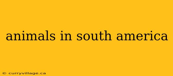 animals in south america