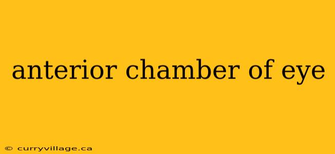 anterior chamber of eye