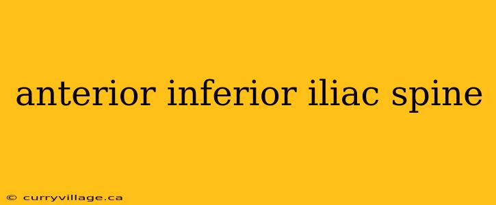 anterior inferior iliac spine