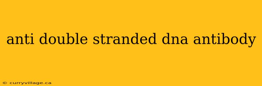 anti double stranded dna antibody