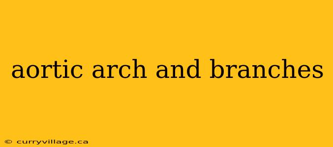 aortic arch and branches