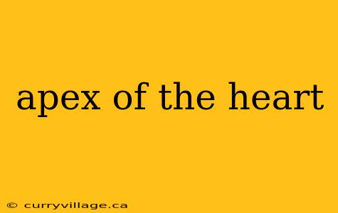apex of the heart