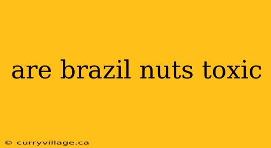 are brazil nuts toxic