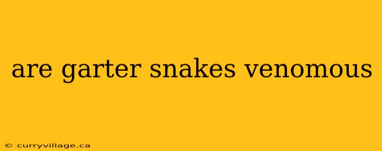 are garter snakes venomous