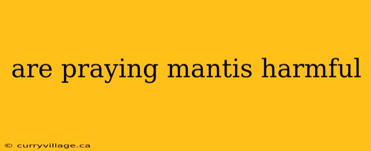 are praying mantis harmful