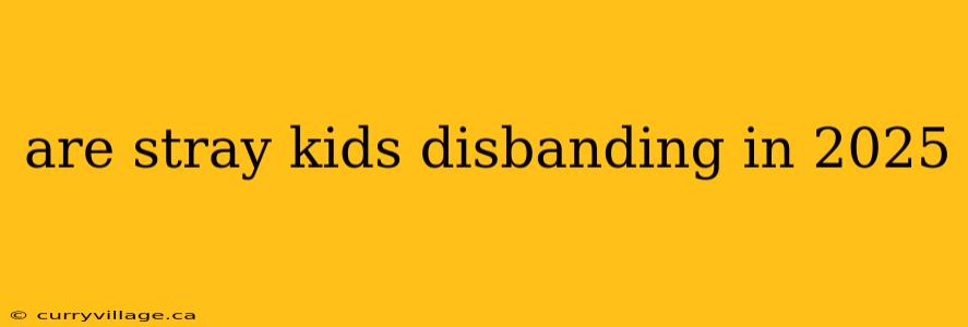 are stray kids disbanding in 2025