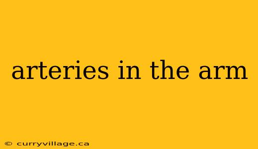 arteries in the arm