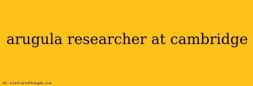 arugula researcher at cambridge