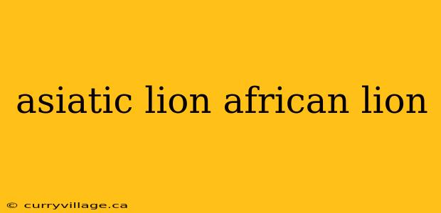 asiatic lion african lion