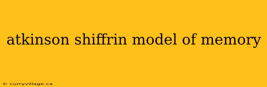 atkinson shiffrin model of memory