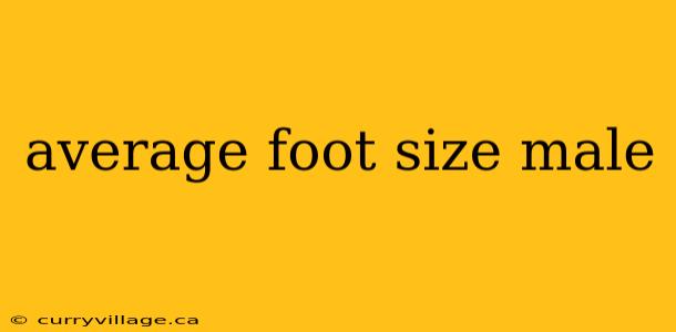 average foot size male