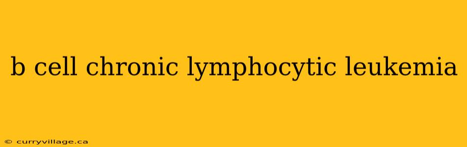b cell chronic lymphocytic leukemia