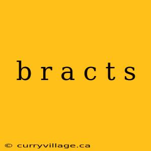 b r a c t s