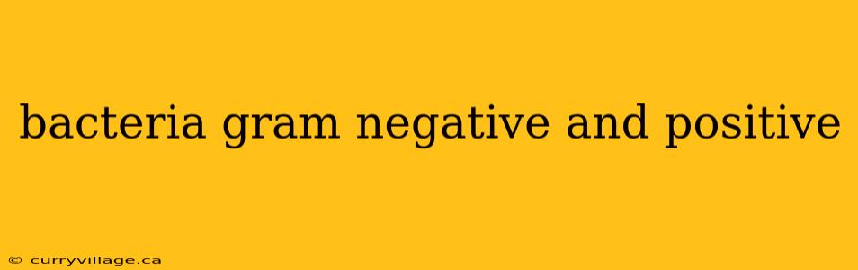 bacteria gram negative and positive
