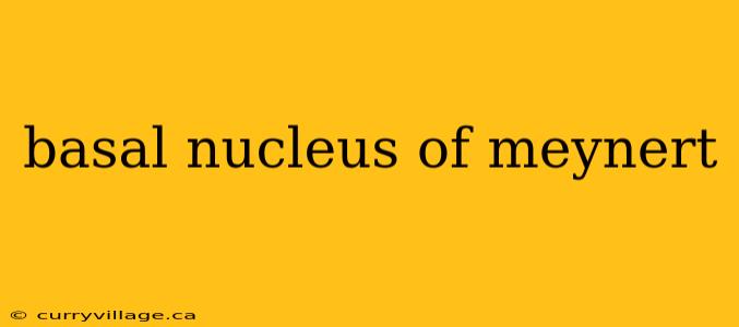 basal nucleus of meynert