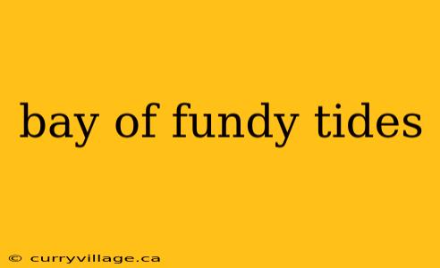 bay of fundy tides