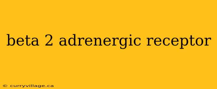 beta 2 adrenergic receptor