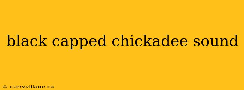 black capped chickadee sound