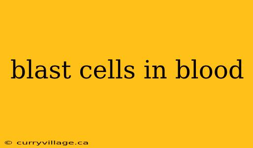 blast cells in blood