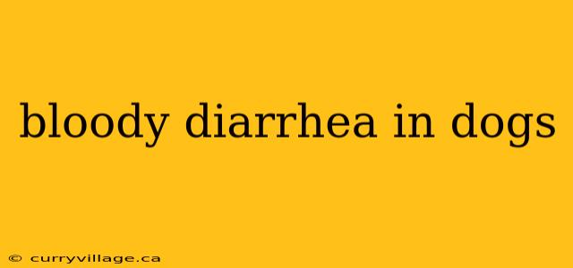 bloody diarrhea in dogs