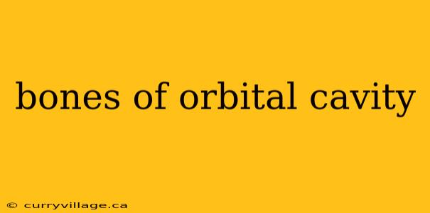bones of orbital cavity